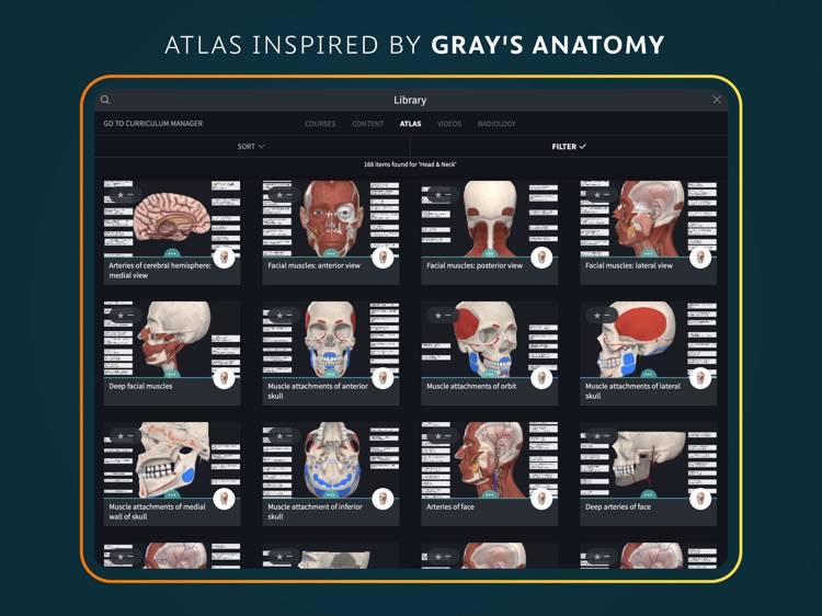 Complete Anatomy for iPad screenshot-5