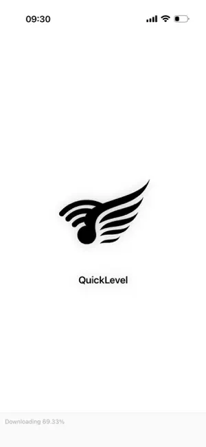 QuickLevel screenshot 1