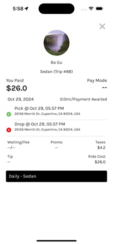 Dogeride Driver Screenshot 7 of 9