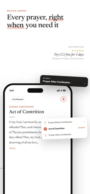 Catholic Confession Journal screenshot 3