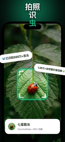WhatBug: 昆虫识别 screenshot
