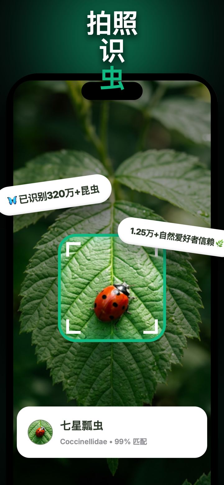 昆虫识别: 蜘蛛与咬伤 screenshot 1