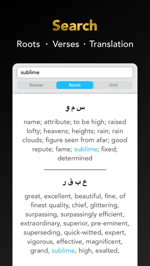 Quran Study Learn Word by Word screenshot 4