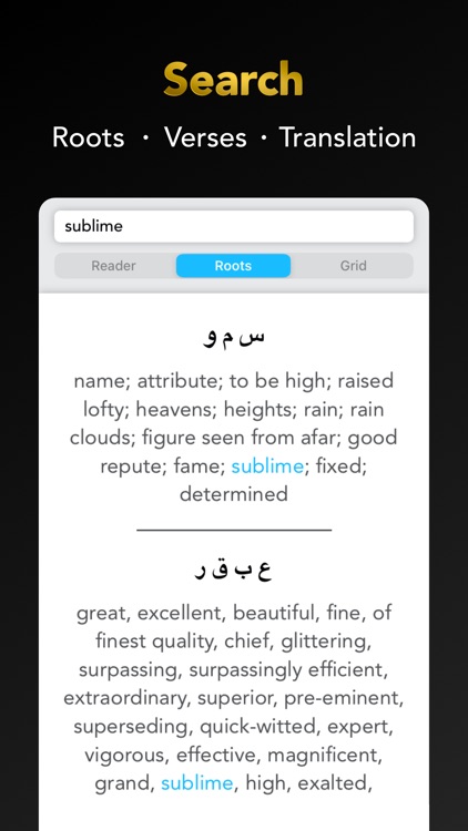 Quran Study Learn Word by Word screenshot-3