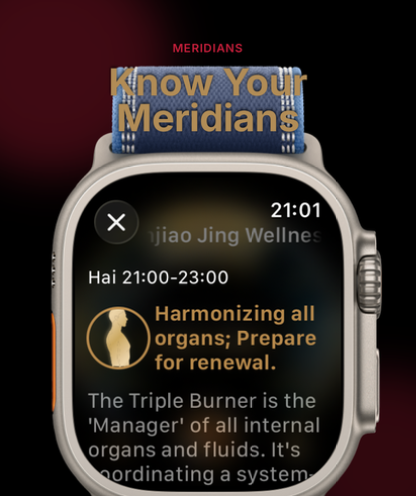 EbbsFlow: TCM Body Clock screenshot 12