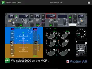 B737 Autopilot Trainer screenshot 4