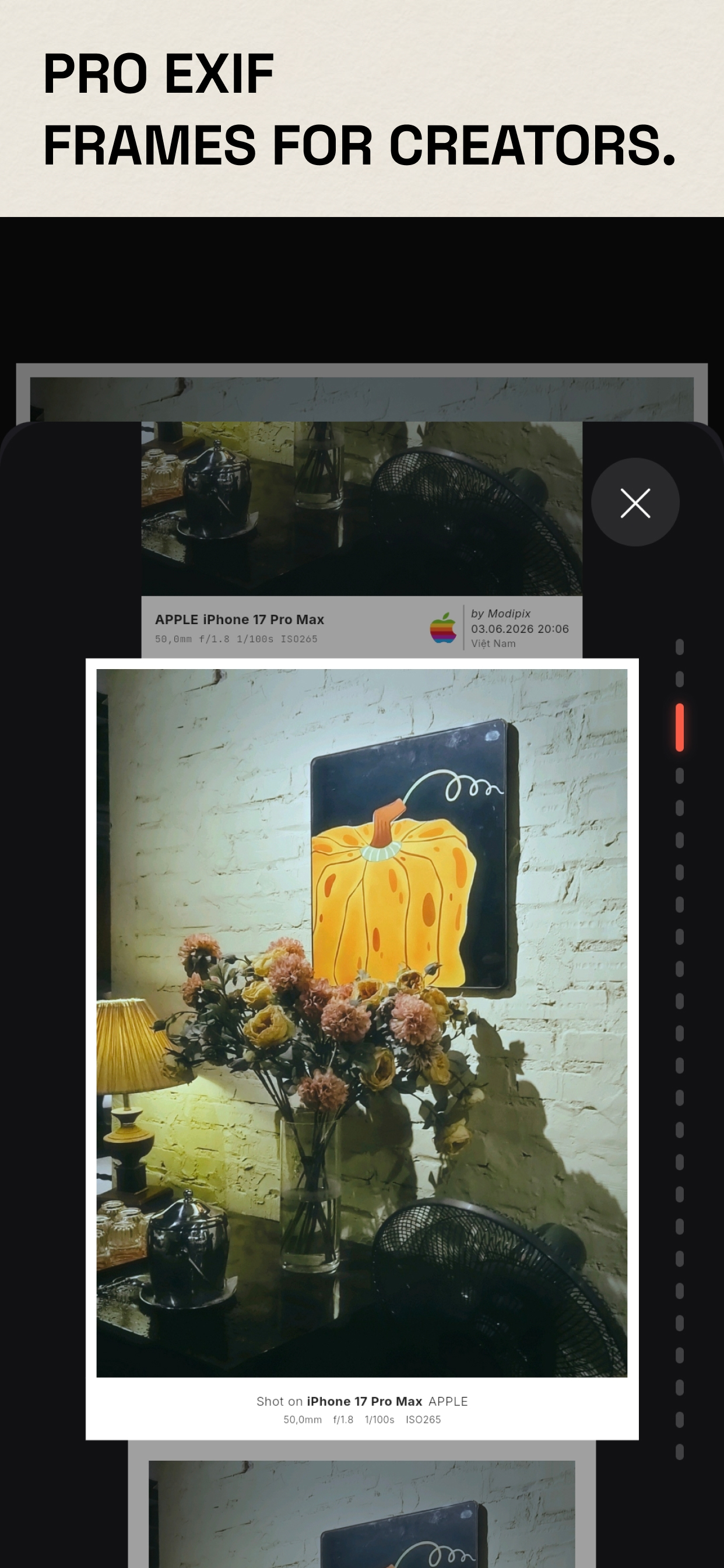 Modipix: Film Lab & 3D LUT screenshot 5