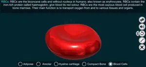 Connective Tissues-EduTech Era screenshot 4