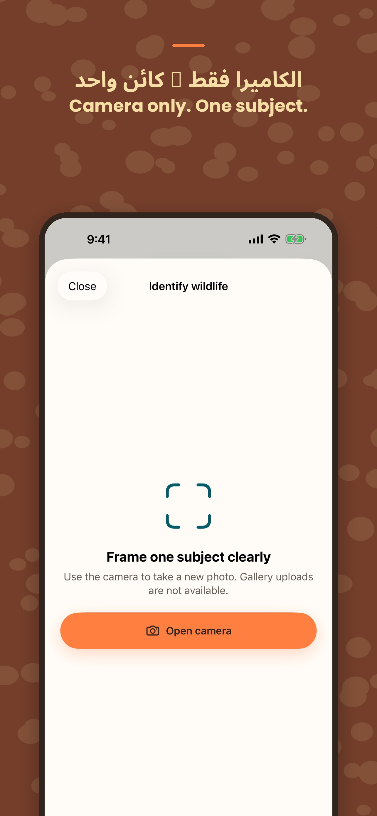 Screenshot 3 of Nomair & Laila