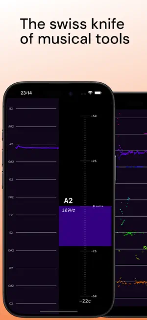 Pitch Diagram: Vocal Tuner screenshot 2