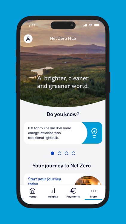 Electric Ireland screenshot-5