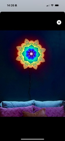 Luminar Remote Screenshot 6 of 6