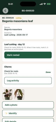 Plantistry screenshot 7