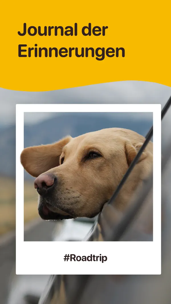 Woofz: Hundetraining App Screenshot 8