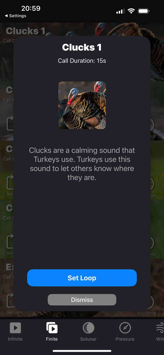 Turkey Calls for Hunting