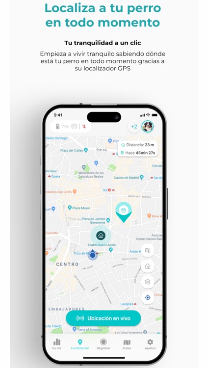 Kolyy GPS & Smart Collar