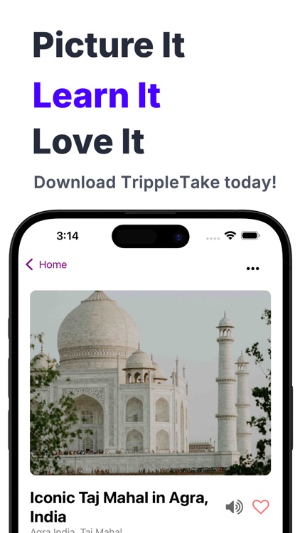 TripleTake: Identify It! screenshot-4