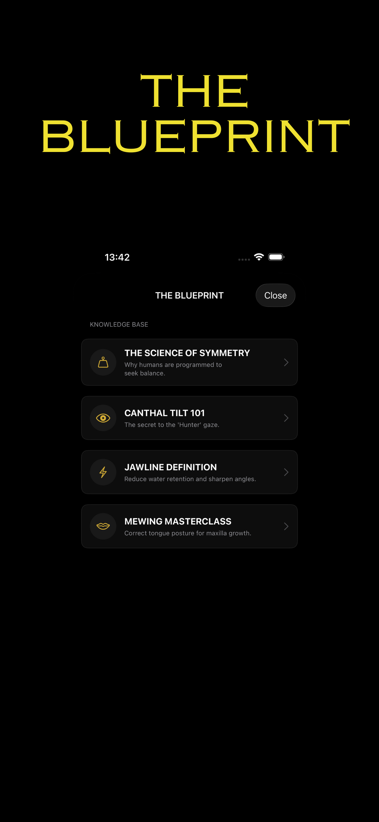 Golden: Face Symmetry Scanner