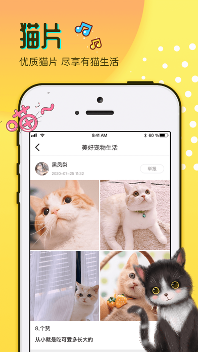 猫匿 Screenshot