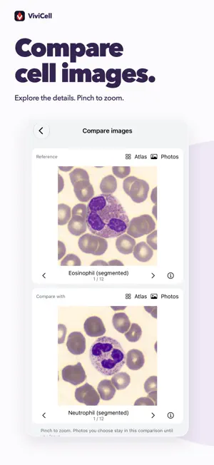 ViviCell: Hematology Study screenshot 2