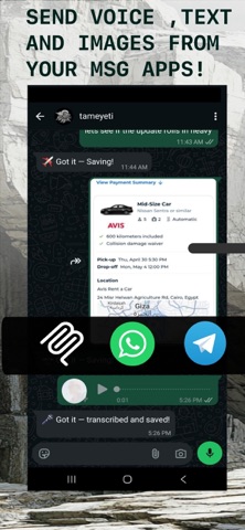 tameyeti screenshot