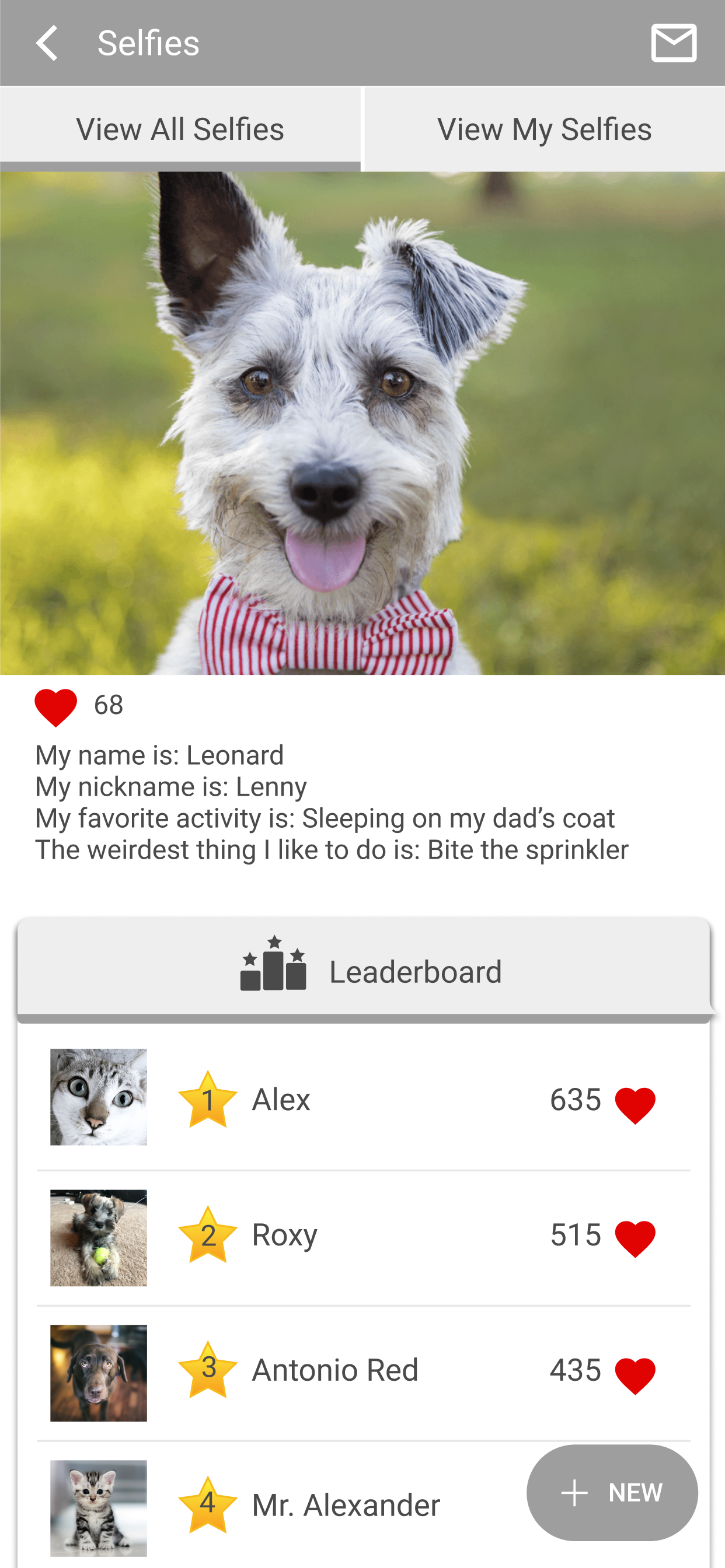 RBPH Vet screenshot 5