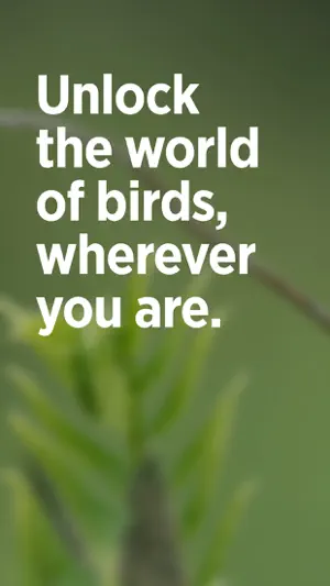 Audubon Bird Guide screenshot 1