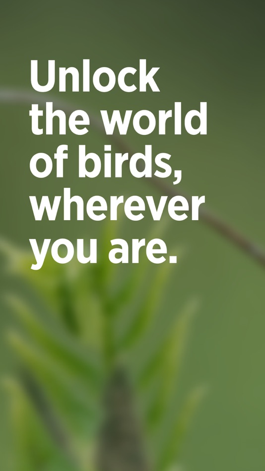 #1. Audubon Bird Guide (iOS) Podle: National Audubon Society