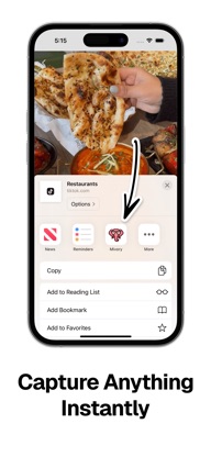 Mivory: Bookmark Manager screenshot 2