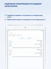 Личный кабинет предпринимателя айпад изображения 3