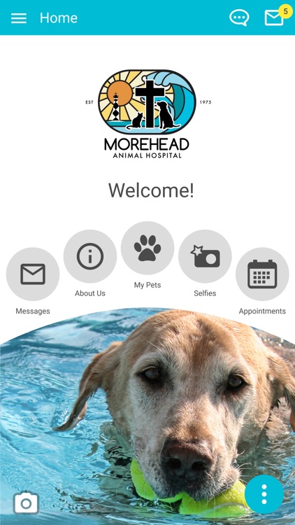 Morehead Animal Hospital