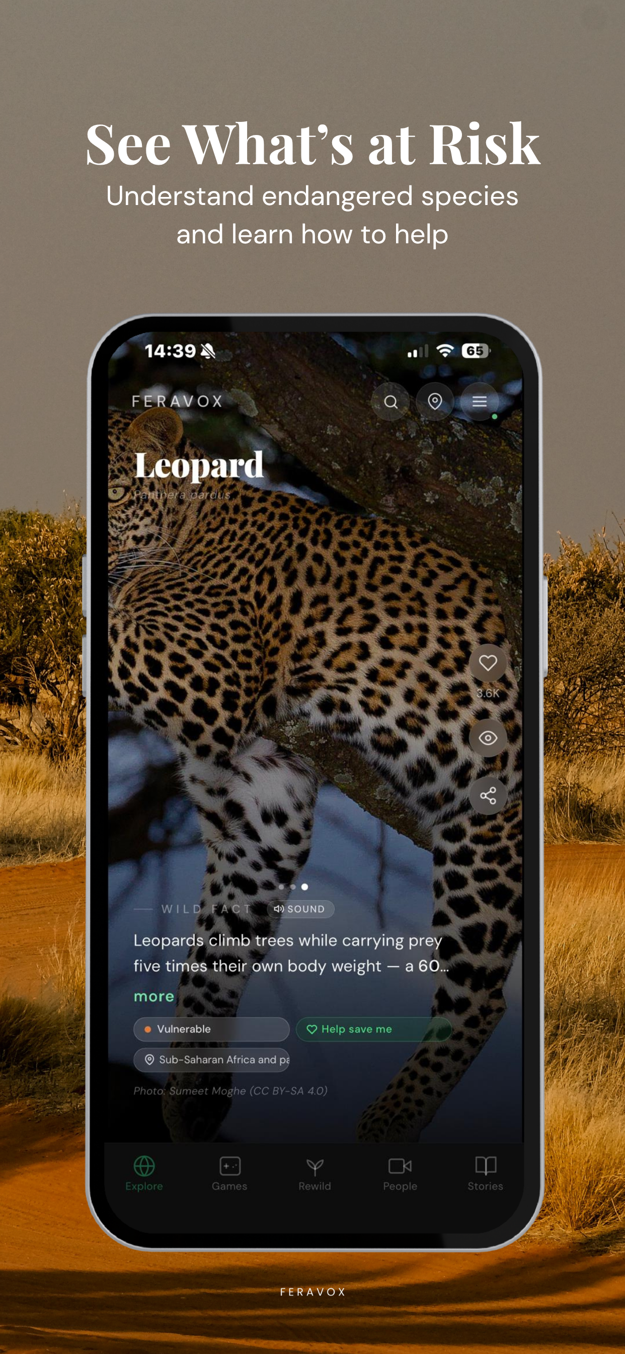 Feravox: Wildlife Discovery screenshot 7