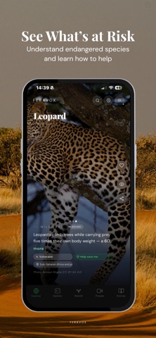 Feravox: Wildlife Discovery screenshot