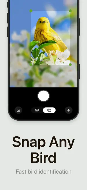 Ornitho - Bird Identifier screenshot 2