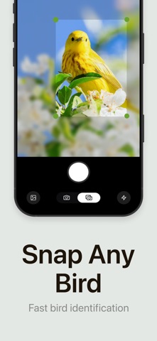 Ornitho - Bird Identifier iPhone screenshot