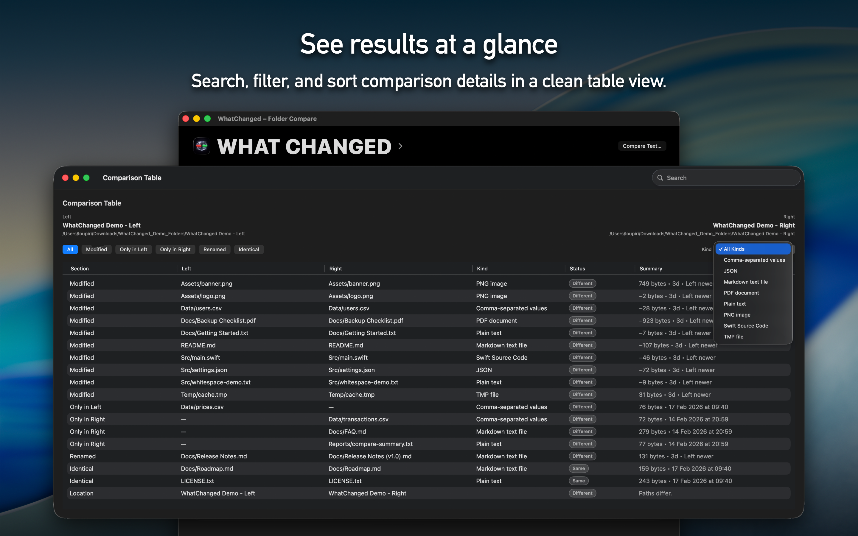 WhatChanged – Folder Compare screenshot 20