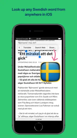 Swedish Dictionary screenshot 4