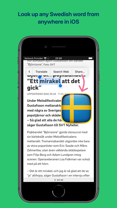 Swedish Dictionary Screenshot