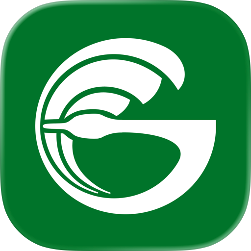 Goosehead Insurance