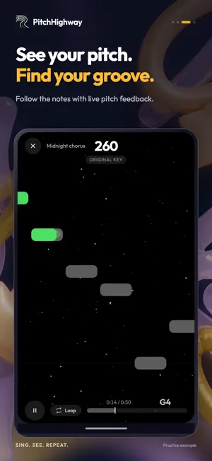 PitchHighway: Learn to Sing screenshot 3