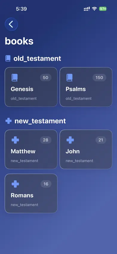 HolyBibleAI screenshot 3
