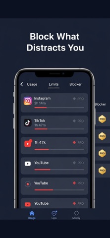FocusGuard (287340) Screenshot 3 of 3