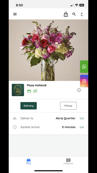 Plaza Hollandi Screenshot