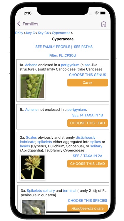 FloraQuest: Florida screenshot-8