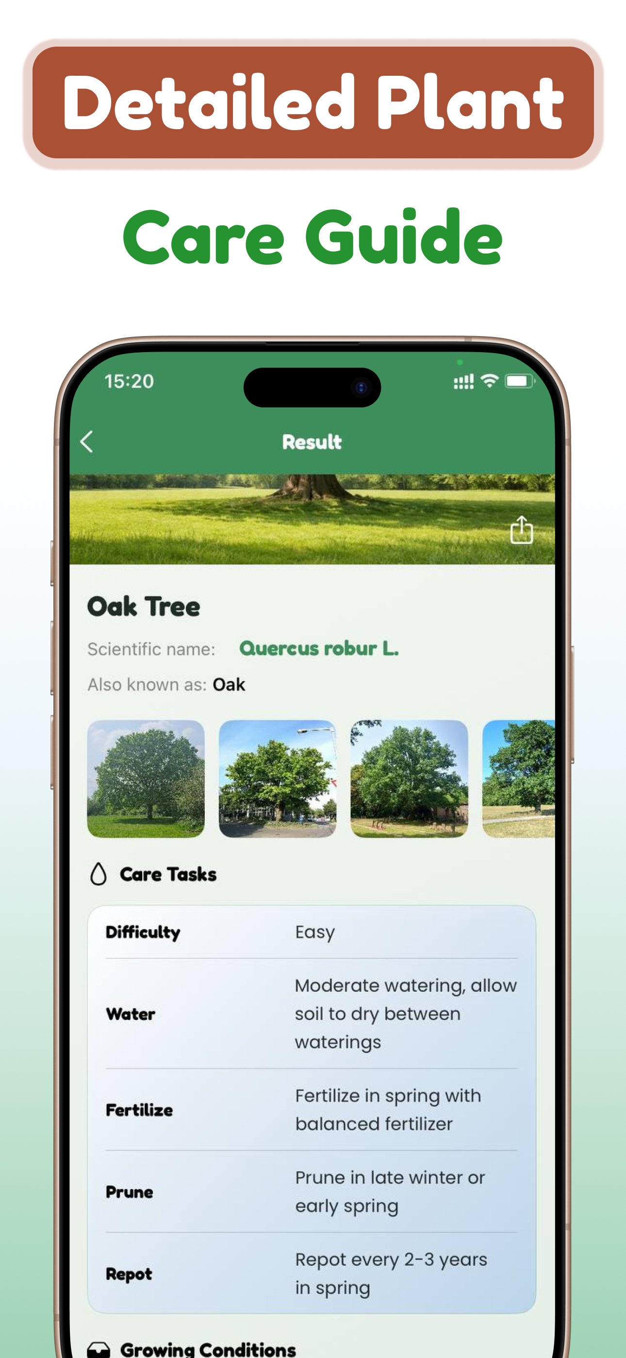 Tree and Plant Identifier screenshot 4