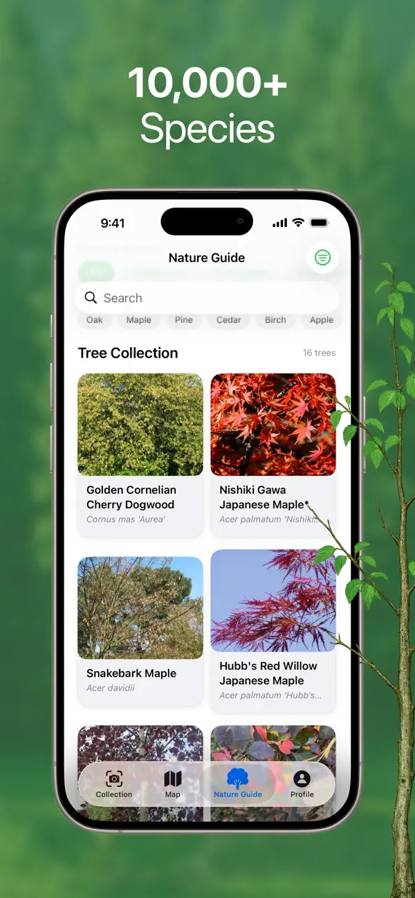 #5. Tree Identifier - TreeBarkId (iOS) Podle: Siham Aater Taleb