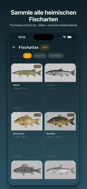 PETRI screenshot 2
