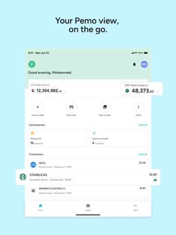 Pemo iPad screenshot