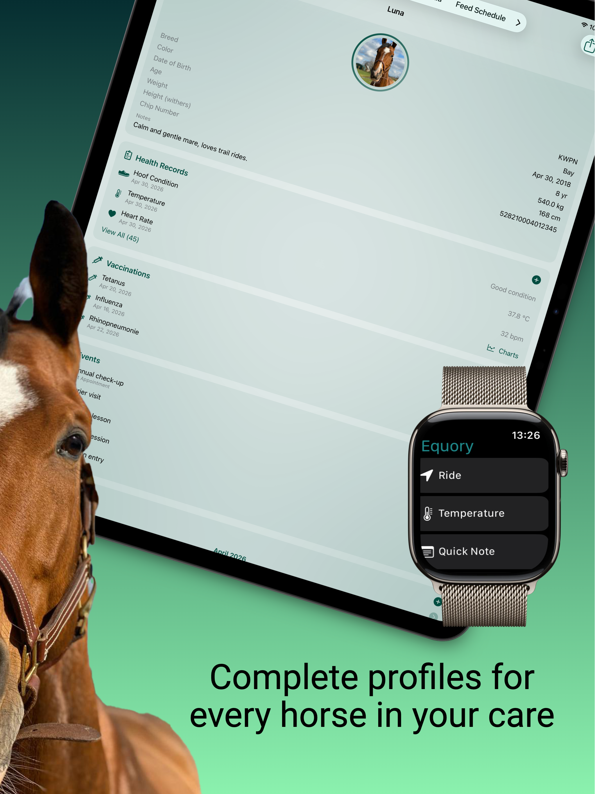 Equory: Horse Riding & Stable screenshot 12