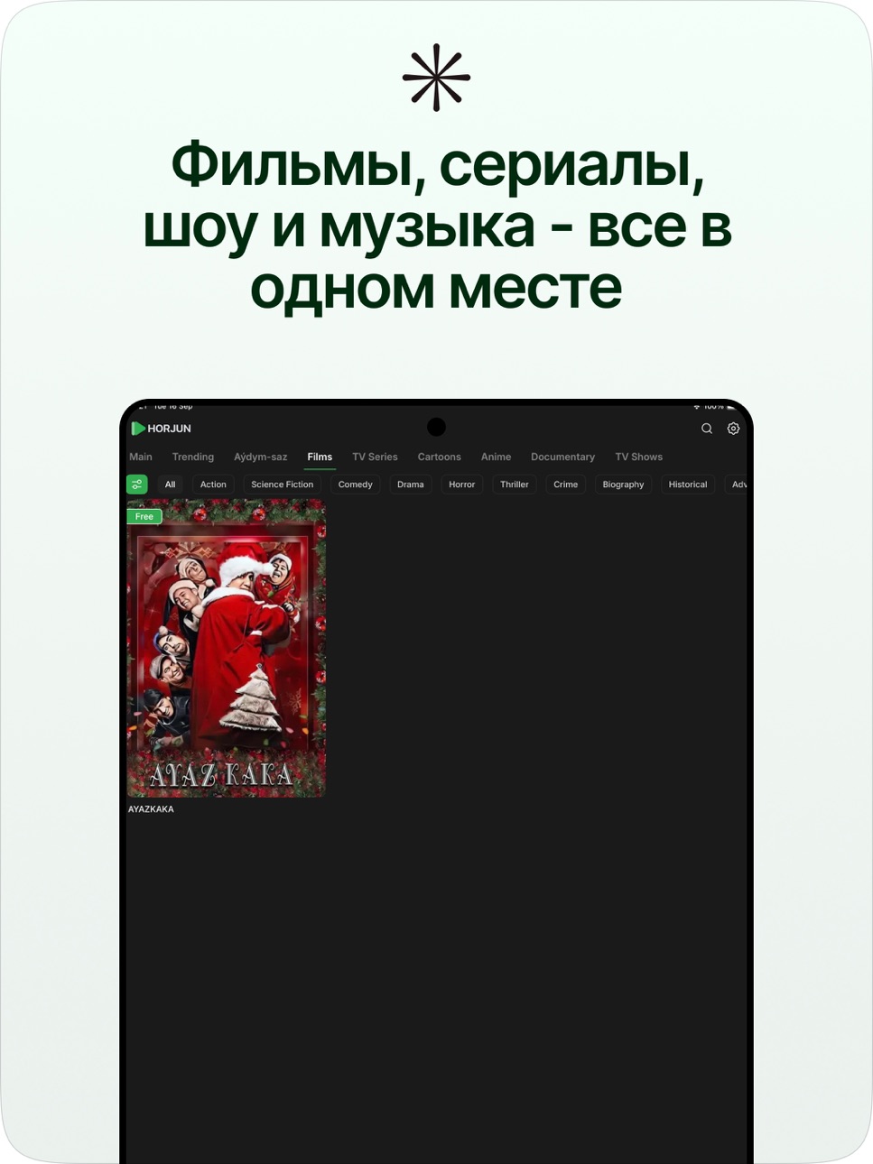iPad screenshot